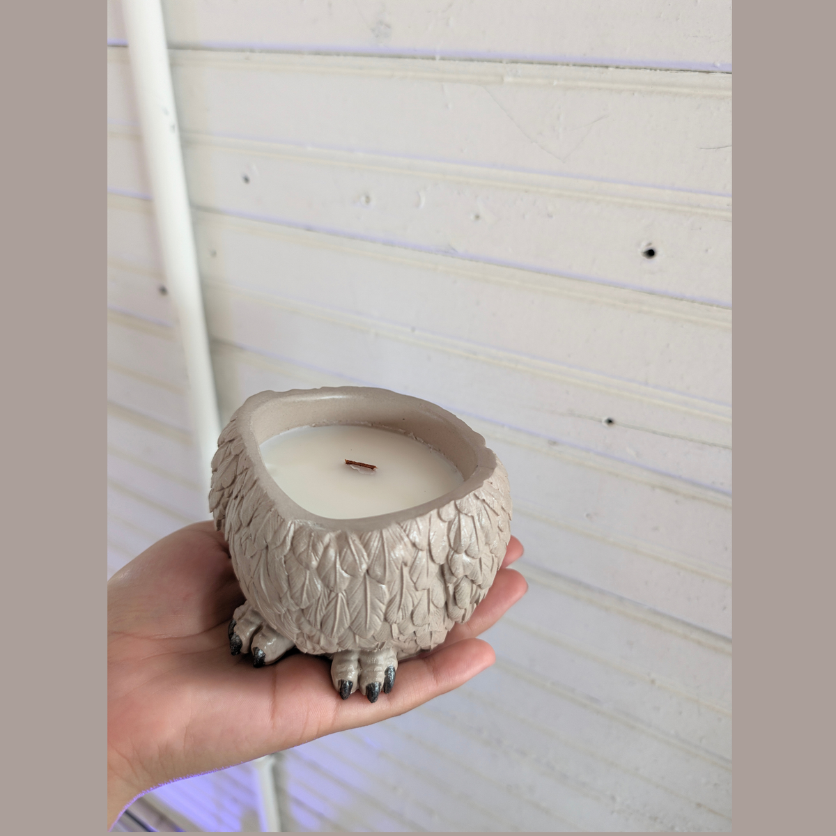 Handcrafted Owl the color of the Owl are super light brown the owl is in top of a hand in front of a white wood wall. The inside of the owl vessel is fill with coconut apricot wax wit wood wick in the middle of it.
