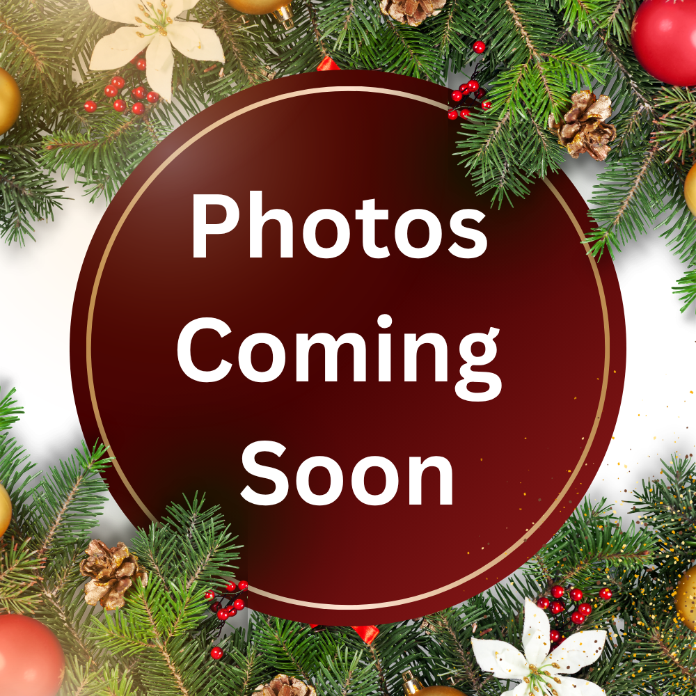 WE have burgundy circle around of Christmas decoration as background in top of this background we have white letters telling photos coming soon