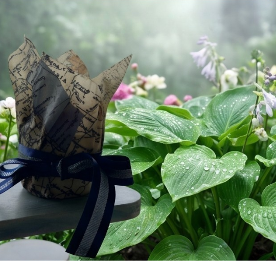 Herbal Tonic Candle Refill