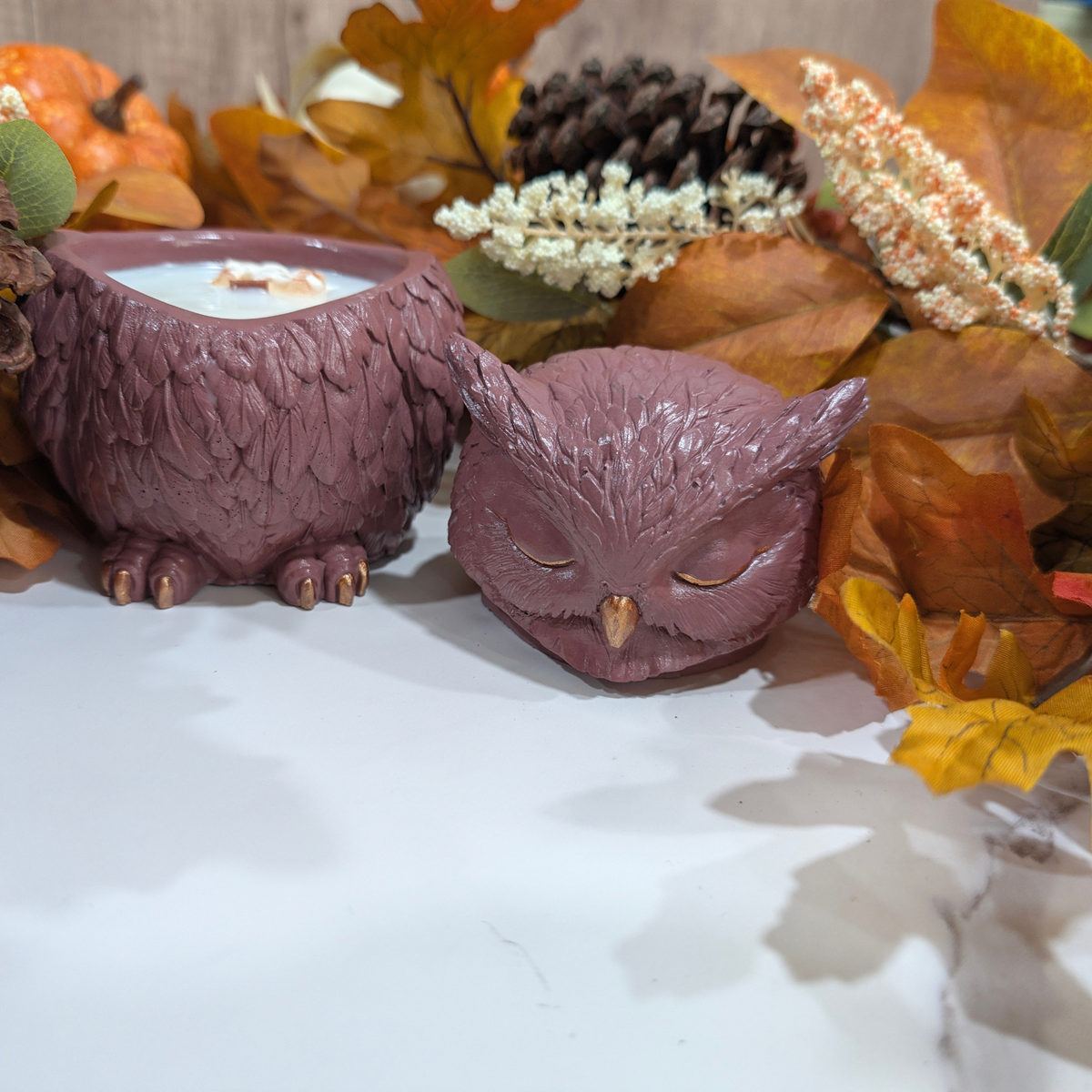 the front of  a handcrafted brown red Owl in front of a falls decoration like leaves, pine corn. white flower inside of the owl is fill with coconut apricot wax and have a waffle decoration
